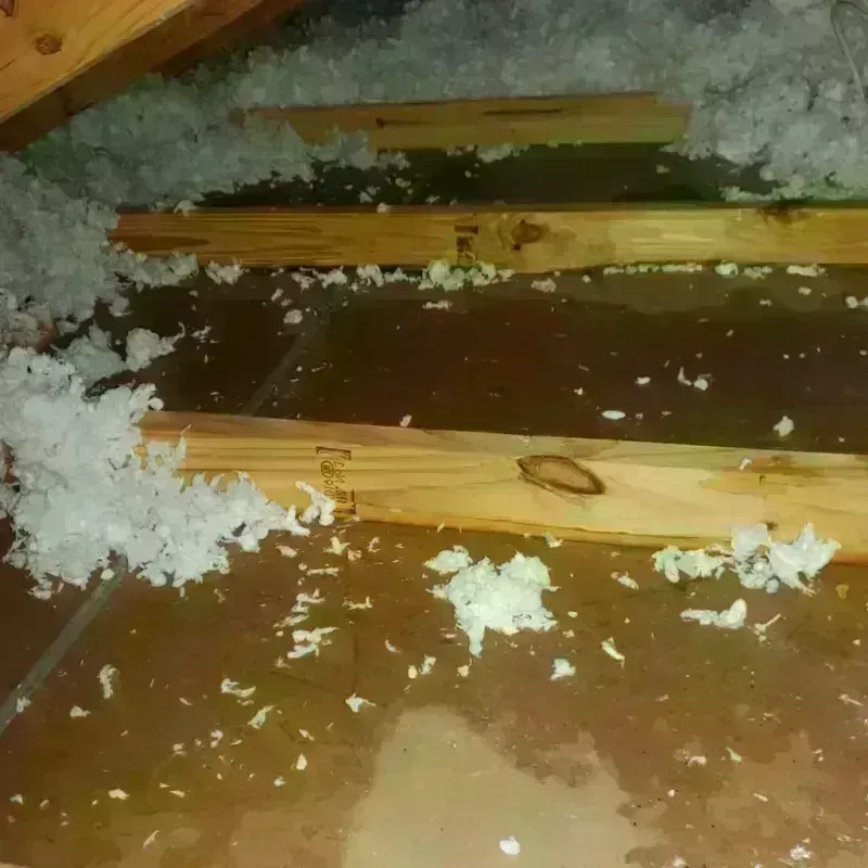 Attic Water Damage in Harkers Island, NC